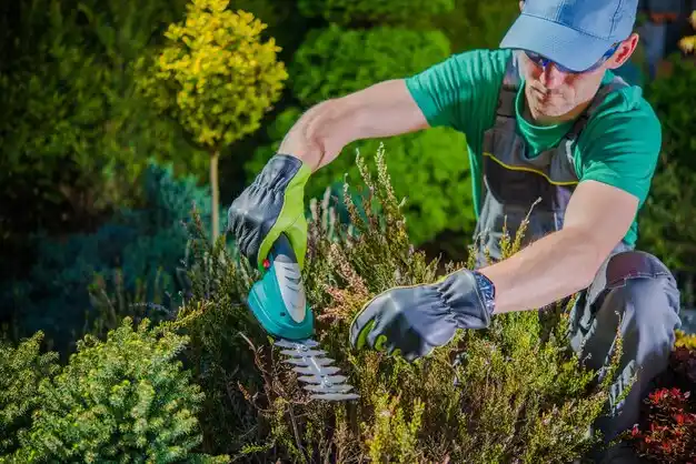 landscaping services Brookside